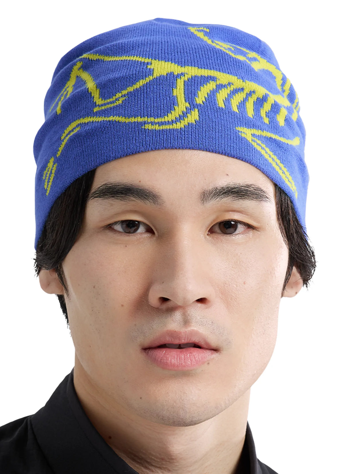 Arcteryx Bird Head Toque Beanie - "Electra/Euphoria"